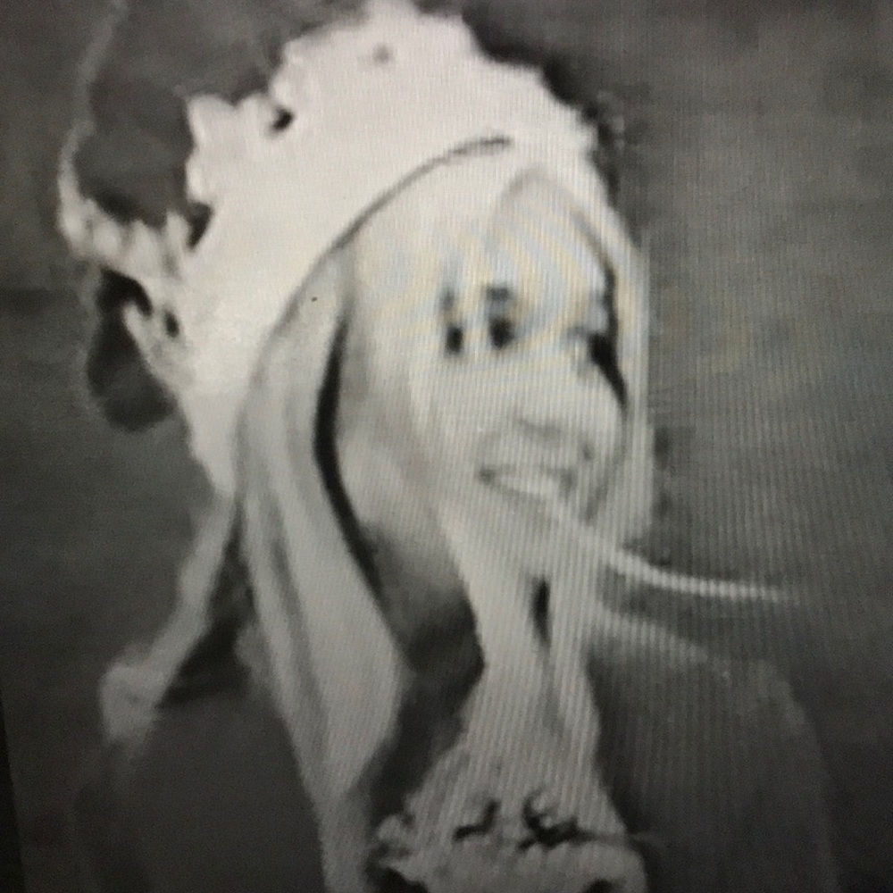 Meet your Posher, Wendy